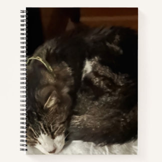 Keeno Carnet spiral circulaire parfait