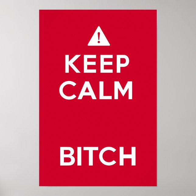 Keep Calm Parody Funny Poster (Vorne)