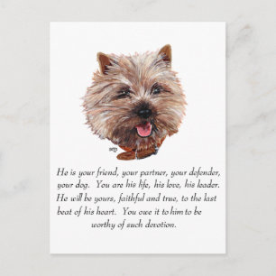 Keepake Cairn Terrier - Männlich Postkarte