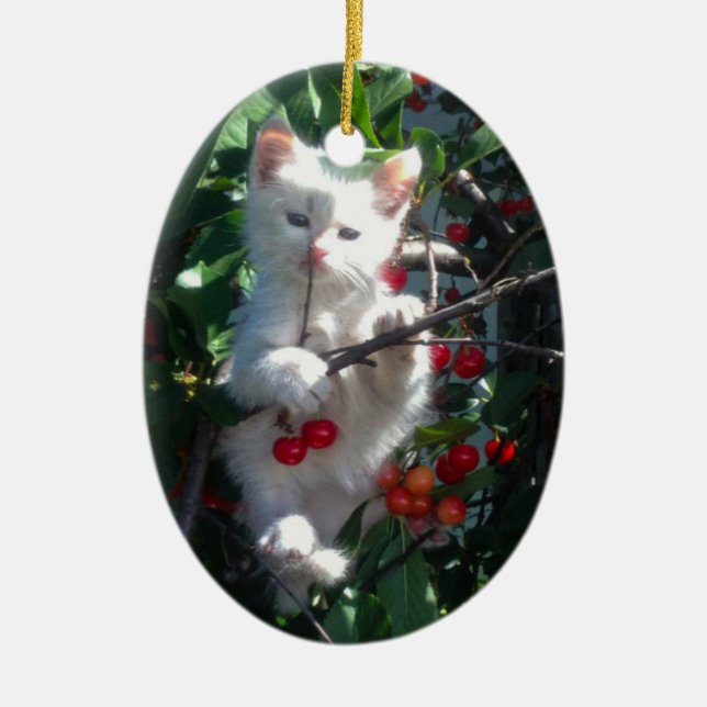 Keepsake Family Cat 1 Sided Photo Keramik Ornament (Vorne)