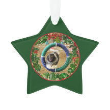 Kees Agilité Noël ornement 2