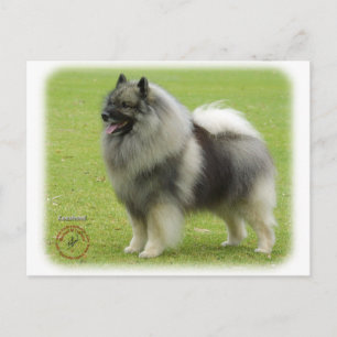 Keeshond 9J28D-01 Postkarte