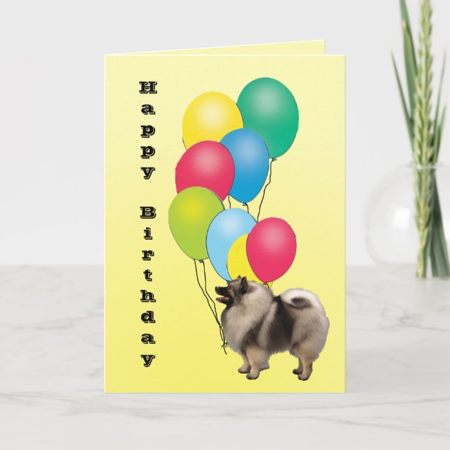 Keeshond-alles Gute zum Geburtstag Karte (Vorderseite)