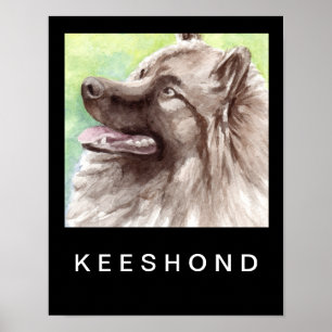 Keeshond-Aquarell-Porträt Poster