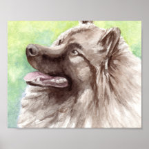 Keeshond-Aquarell-Porträt