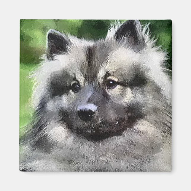 Keeshond Art Geschenke Magnet (Vorne)