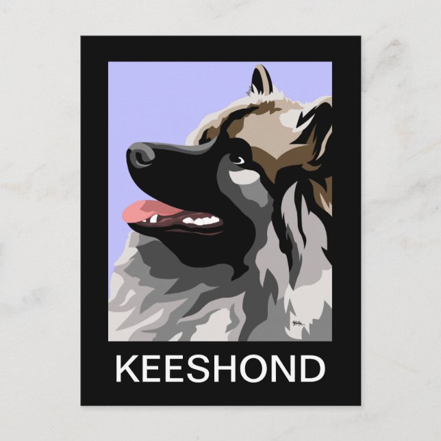 Keeshond Art Postkarte (Vorderseite)