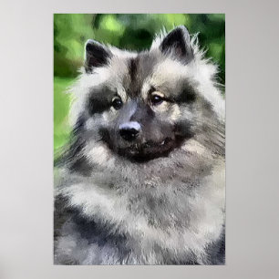Keeshond Art Print Poster