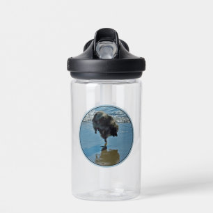 Keeshond-Ballett-Foto - Süße originelle Hundekunst Trinkflasche