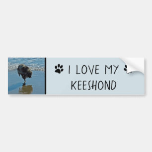 Keeshond Ballettfotos - Niedliche Original Dog Art Autoaufkleber