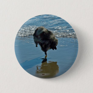 Keeshond Ballettfotos - Niedliche Original Dog Art Button