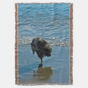 Keeshond Ballettfotos - Niedliche Original Dog Art Decke