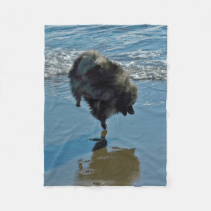 Keeshond Ballettfotos - Niedliche Original Dog Art Fleecedecke
