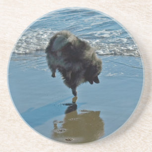 Keeshond Ballettfotos - Niedliche Original Dog Art Getränkeuntersetzer