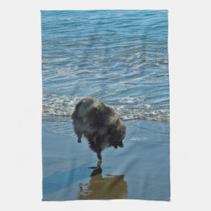 Keeshond Ballettfotos - Niedliche Original Dog Art Handtuch