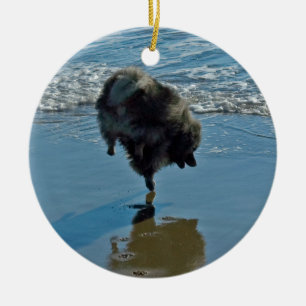 Keeshond Ballettfotos - Niedliche Original Dog Art Keramik Ornament