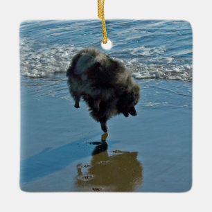 Keeshond Ballettfotos - Niedliche Original Dog Art Keramikornament
