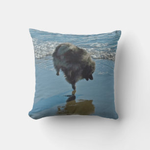 Keeshond Ballettfotos - Niedliche Original Dog Art Kissen