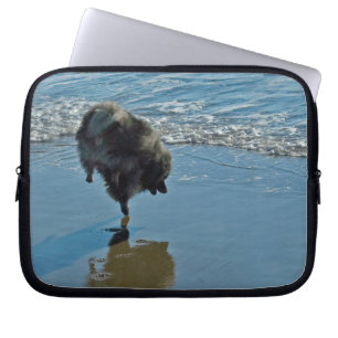 Keeshond Ballettfotos - Niedliche Original Dog Art Laptopschutzhülle