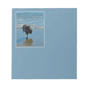 Keeshond Ballettfotos - Niedliche Original Dog Art Notizblock