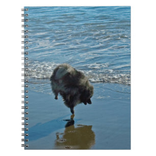 Keeshond Ballettfotos - Niedliche Original Dog Art Notizblock