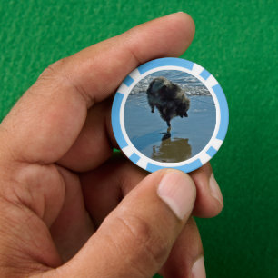 Keeshond Ballettfotos - Niedliche Original Dog Art Pokerchips