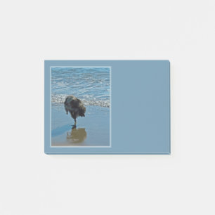 Keeshond Ballettfotos - Niedliche Original Dog Art Post-it Klebezettel