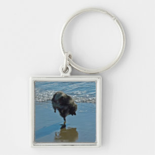 Keeshond Ballettfotos - Niedliche Original Dog Art Schlüsselanhänger