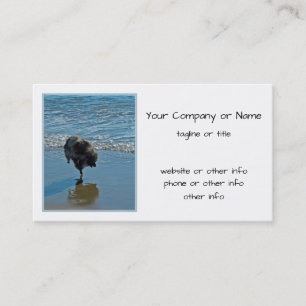Keeshond Ballettfotos - Niedliche Original Dog Art Visitenkarte