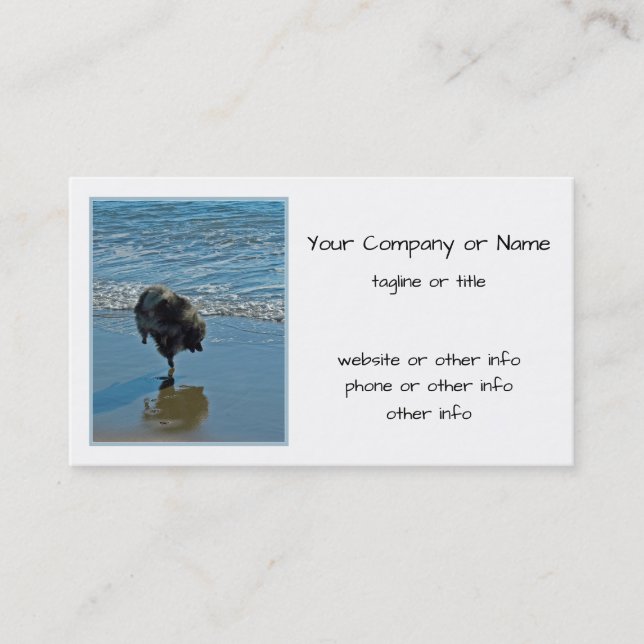 Keeshond Ballettfotos - Niedliche Original Dog Art Visitenkarte (Vorderseite)