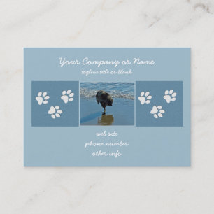 Keeshond Ballettfotos - Niedliche Original Dog Art Visitenkarte