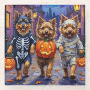 Keeshond beim Trick-or-Treat in Halloween-Kostümen Glasuntersetzer