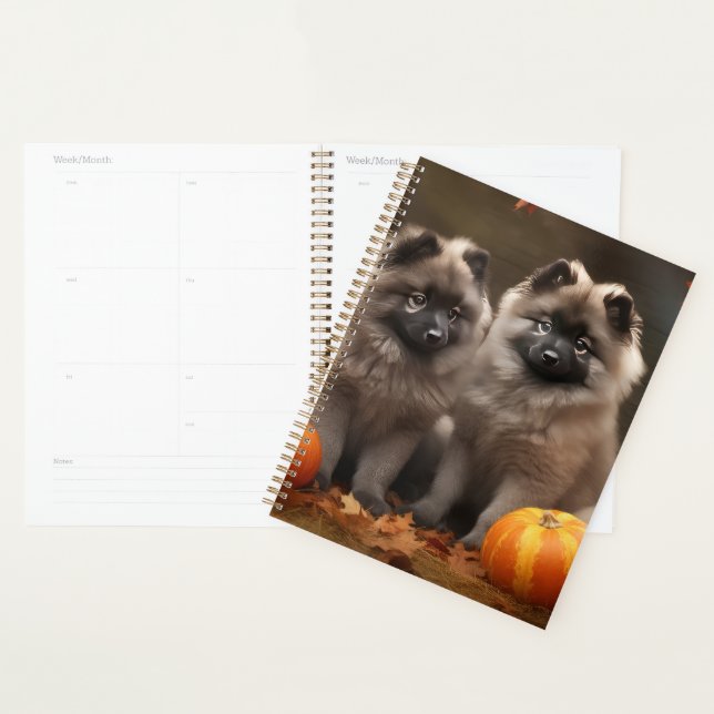 Keeshond Chiot Automne Citrouille délice (Devant avec enveloppe)