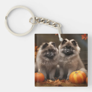 Keeshond Chiot Automne Citrouille délice