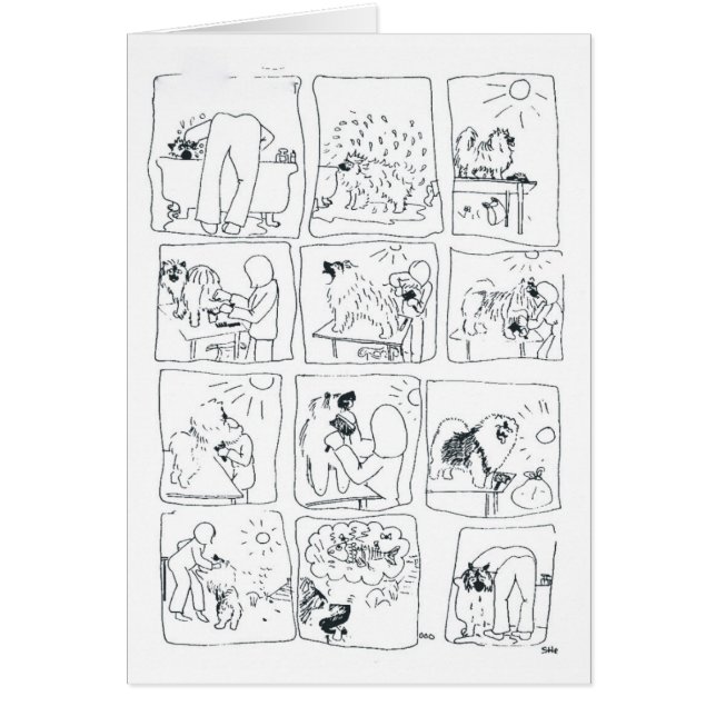 Keeshond-Comic Bathtime (Vorne)