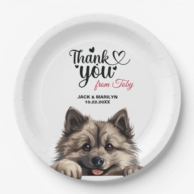 Keeshond Dog Pappteller (Vorderseite)