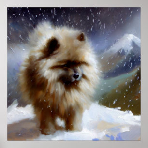 Keeshond Dog Poster