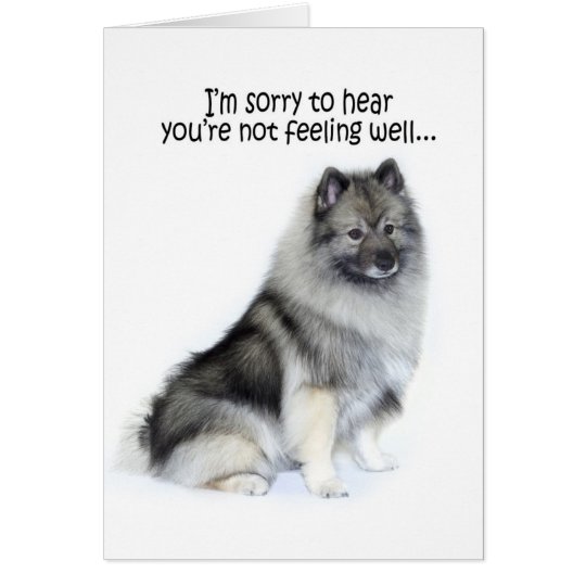 Keeshond erhalten wohle Karte