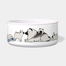 Keeshond-Familie mit blauer Socke