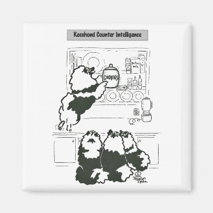 Keeshond-Gegenintelligenz Magnet