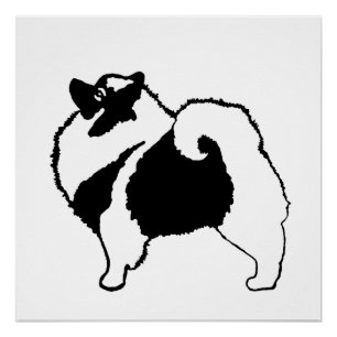 Keeshond Graphics - Niedliche Original Dog Art Poster