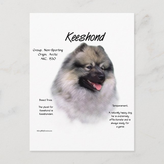 Keeshond History Design Postkarte (Vorderseite)