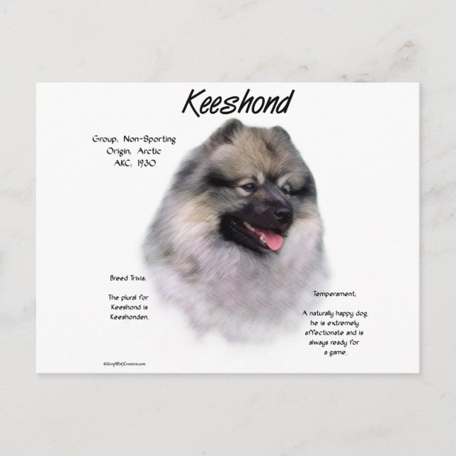 Keeshond History Design Postkarte (Vorderseite)