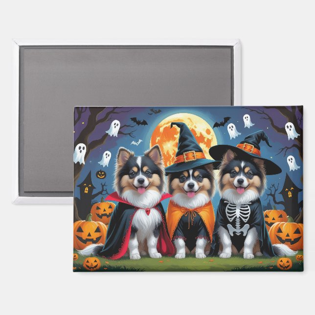 Keeshond Hogs Pumpkin Halloween Funny Magnet (Vorderseite/Rückseite)