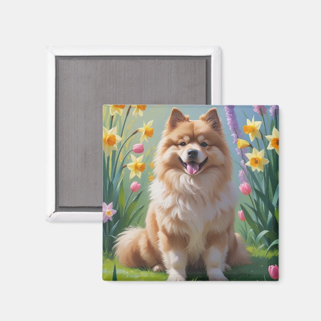 Keeshond-Hund-Frühlingsblumen-Gemälde  Magnet (Vorderseite/Rückseite)