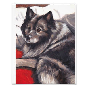 Keeshond Hunde Art Print Fotodruck