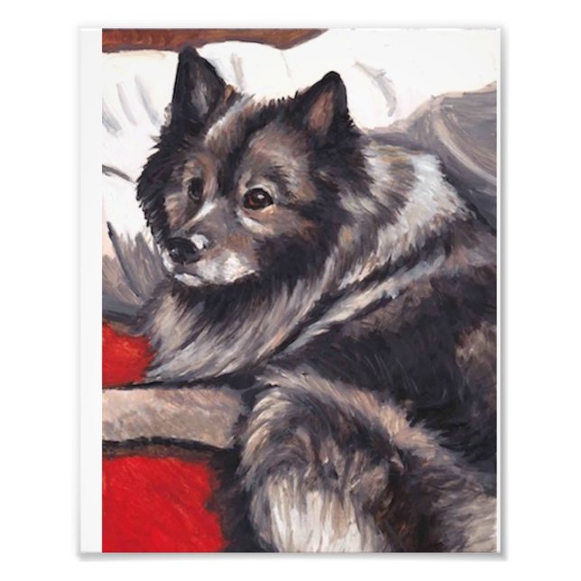 Keeshond Hunde Art Print Fotodruck (Vorne)