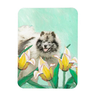 Keeshond in Tulips Malerei Niedliche Original Hund Magnet