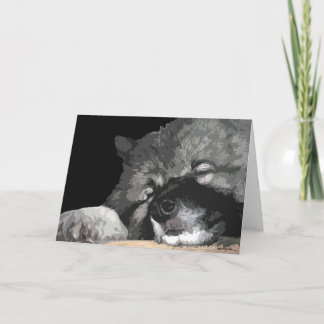 Keeshond irgendeine Gelegenheitsgrußkarte Karte