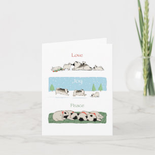 Keeshond Liebe Joy Peace   Niedlich Keeshonden Hol Feiertagskarte